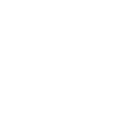 logo licei san luigi